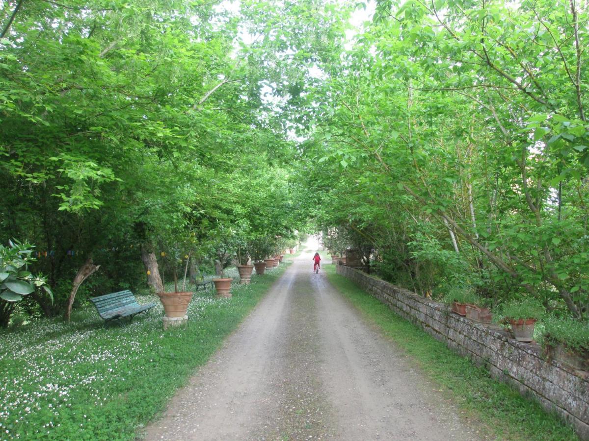 Giaggiolo Διαμέρισμα Poggibonsi Εξωτερικό φωτογραφία