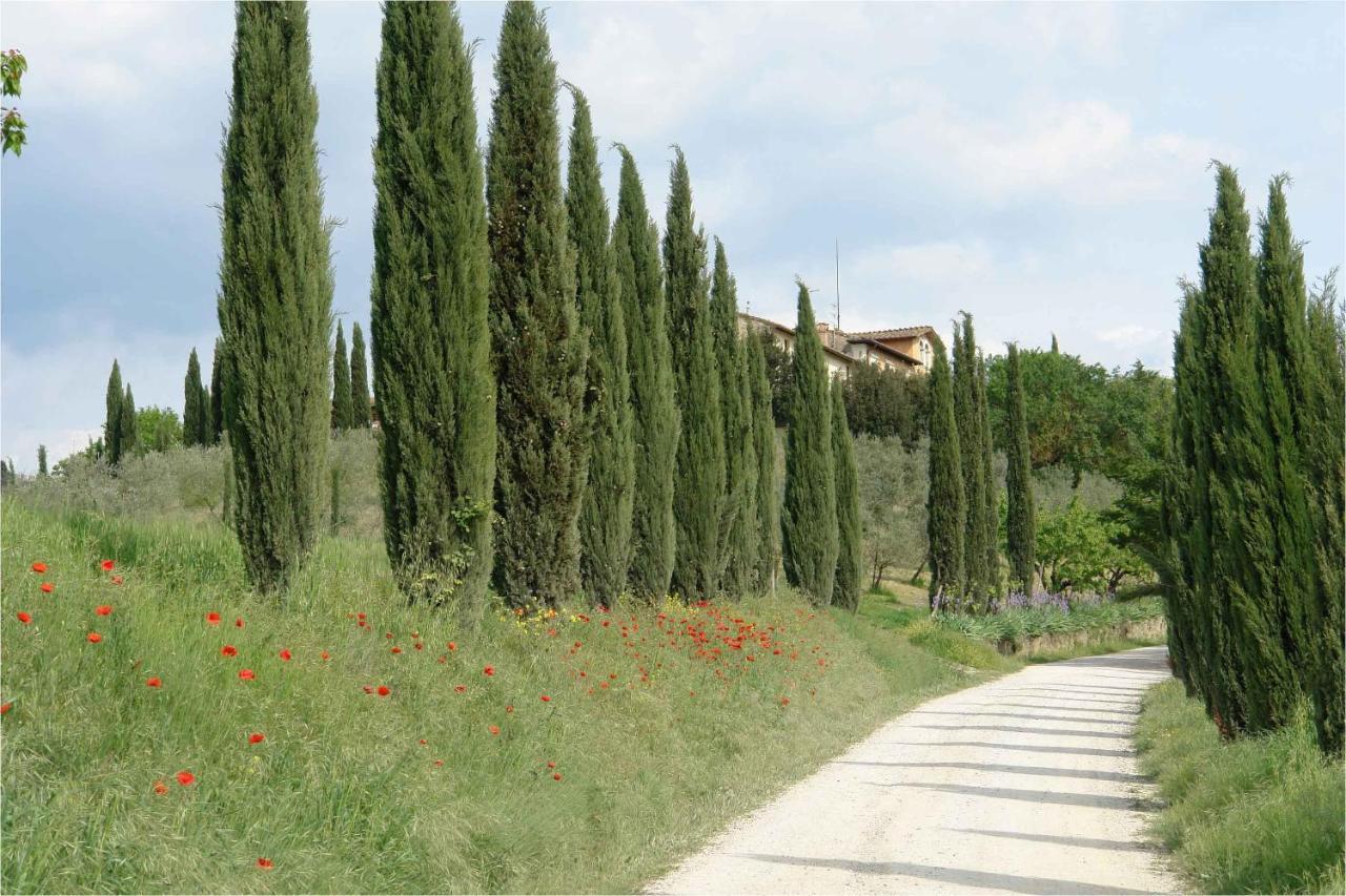 Giaggiolo Διαμέρισμα Poggibonsi Εξωτερικό φωτογραφία